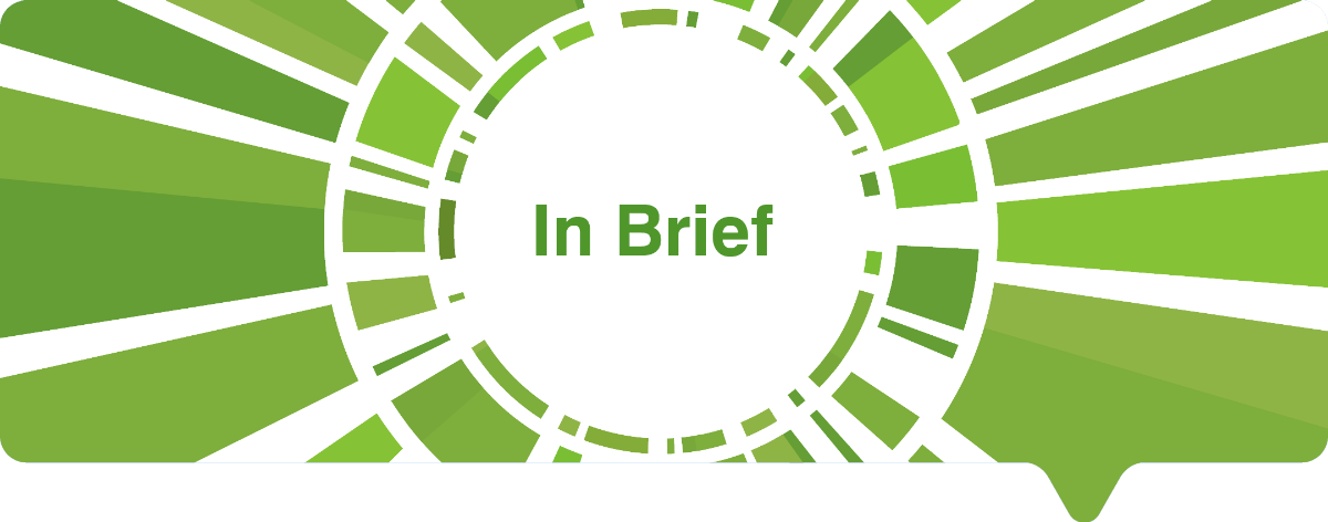in-brief